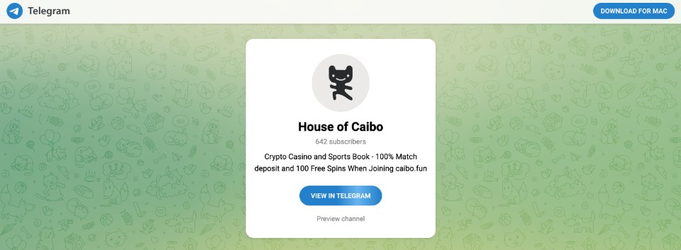 한국 온라인 카지노 카이보펀 사이트 텔레그램 카지노 caibo fun 카지노사이트 암호화폐 카지노 추천